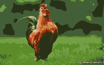 Birds Chickens Wallpaper