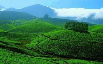 Nice Nature Desktop Background HD Image Picture Wallpaper