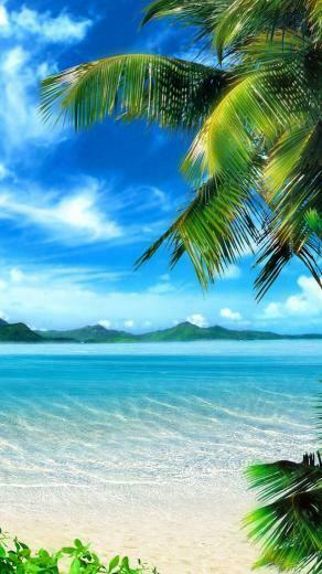 Sun On The Beach iPhone Wallpaper Top