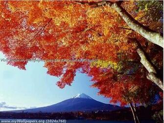 Wallpaper Autumn