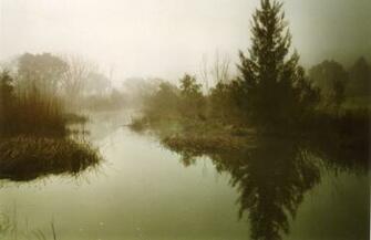 River Mist Wallpaper Christian And Background