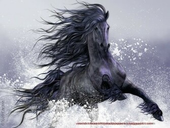 Friesian Horse Pictures