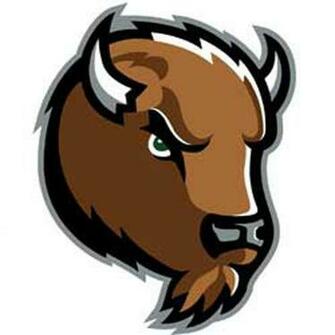 Ncaa Marshall Thundering Herd Large Wall Accent Murals Stickers