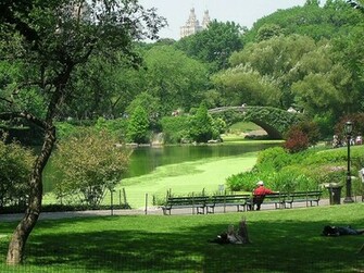 New York City Manhattan Ny Usa Ideal Shopping Vacational Break