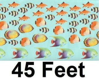 Aquarium Wallpaper Border Kids Tropical Fish Bathroom