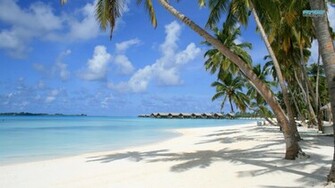 Maldives Beach Wallpaper Palm Tree Wallpapertube