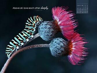 October Love Deeply Desktop Calendar Monthly Calendars
