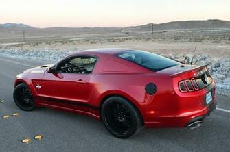 Shelby Gt500 Super Snake Wallpaper