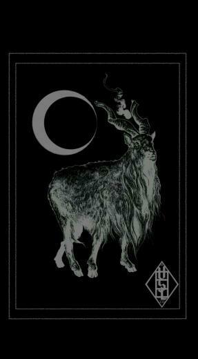 Witch Wallpaper