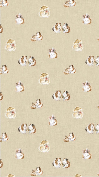 Guinea Pig Phone Wallpaper Cute Pigs