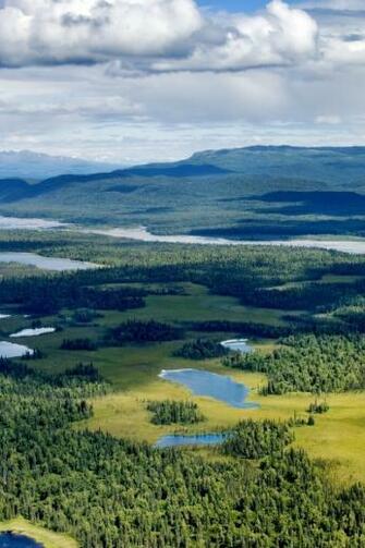 Beautiful Denali National Park iPhone Wallpaper