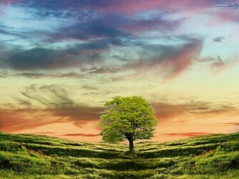 Nature Mother Wallpaper