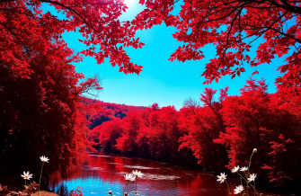Red Nature Wallpaper