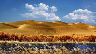 Sand Dunes Wallpaper