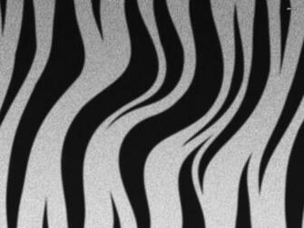 Zebra Stripes Wallpaper Digital Art