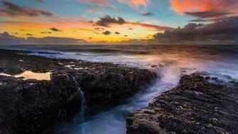 Ice Tree Ocean Sunset UltraHD 4k Wallpaper Background