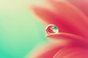 Wallpaper Nature Water Drop HD