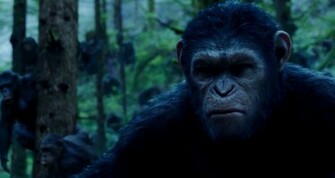 Dawn Of The Planet Apes Movie HD Wallpaper Hollywood Film