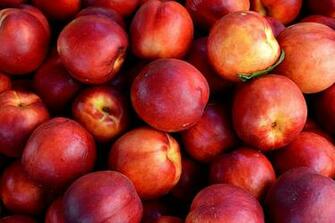 Nectarines Fruit Ripe Stock Photos Image HD Wallpaper