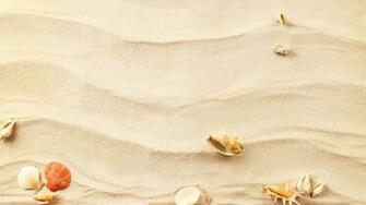 Seashells Wallpaper Collection Most Beautiful Places In