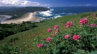 Cascade Head Oregon Beauty HD Wallpaper