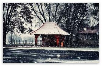 Amazing Winter HD Desktop Wallpaper High Definition Fullscreen