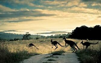 Australia Scenery Outback HD Wallpaper Background Image