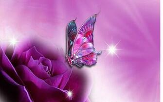 Nice Wallpaper