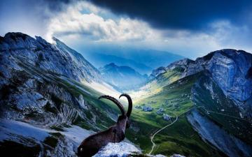 Rocky Peaks Goat Green Meadows With Grass Dark Clouds Mount