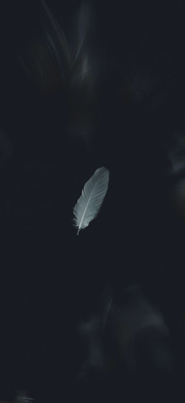 Home Screen Wallpaper