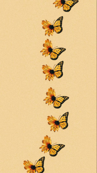 Sunflower Wallpaper With Butterfly At David Velasquez