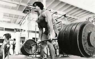 Photo Weight Lifting Quotes Wallpaper HD Gym Monochrome Sports