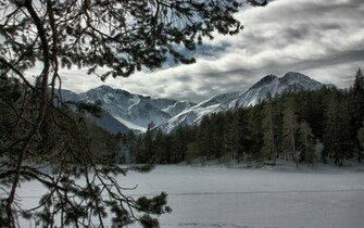 Wallpaper Winter Snow Tree Mountains Forest Desktop