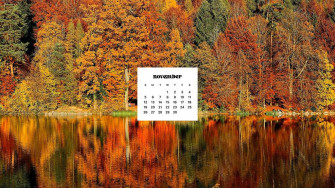 November Wallpaper Bies For Desktop Phones