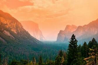 Summer In Yosemite X Wallpaper
