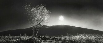 Black And White Nature Wallpaper Amazing Spring