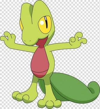 Ash Ketchum Treecko Pokxe9mon Sceptile Eevee Anime Pokemon Pic