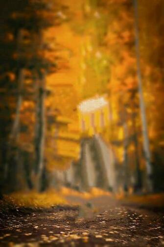 Great Blur Background In Photo