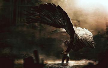 Fallen Angel Wallpaper On