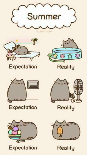Impress Moment Pusheen The Cat Fever