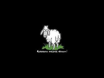 Alpha Coders Humor Funny