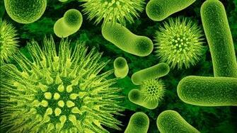Viruses Wallpaper Green Macro Biology Biohazard 3d Photo On The