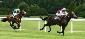 Racing Horses Wallpaper Horse