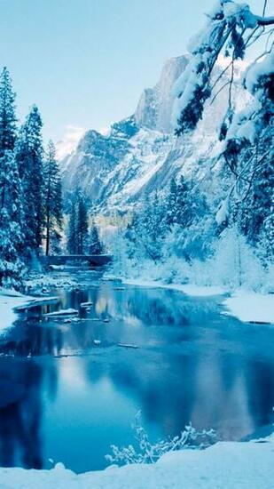 Winter iPhone Wallpaper