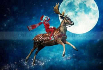 Christmas Digital Backdrops Something Like Life Photography
