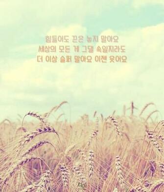 Lyrics From Btob Interest Typography