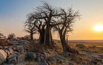 Wallpaper Central Botswana Thabatskudu Image For Desktop