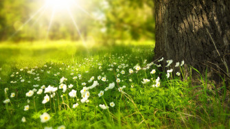 4k Spring Wallpaper Net