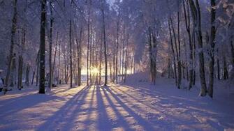 Winter Is Coming HD Wallpaper