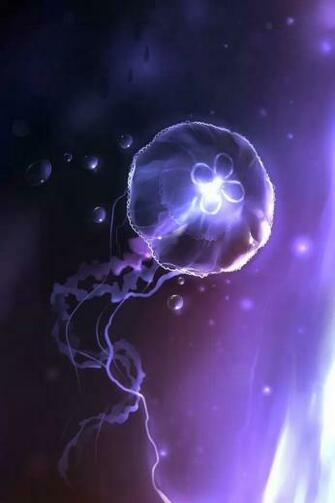 Purple Jellyfish iPhone 4s Wallpaper
